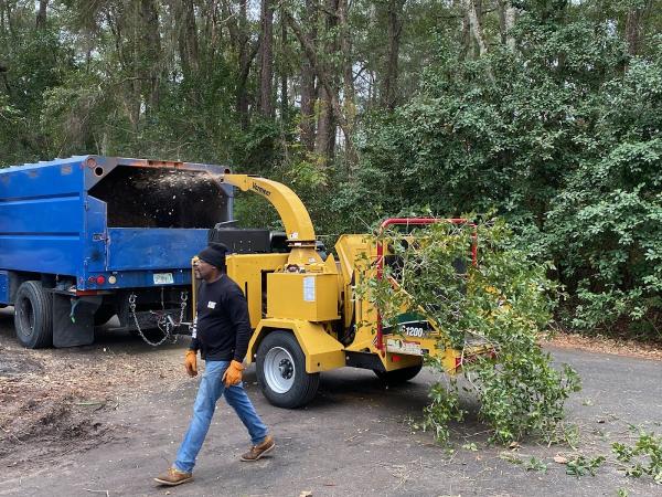Florida Living Tree Service Inc