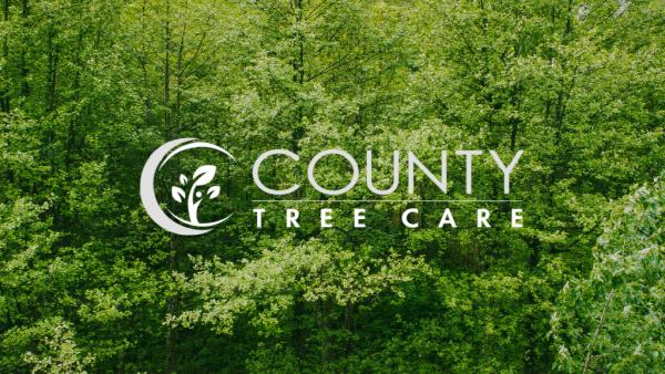 County Tree Care Inc.