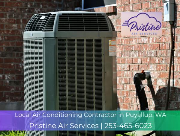 Pristine Air Services