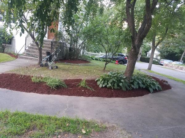 Victor Pineda Landscaping & Plowing Service