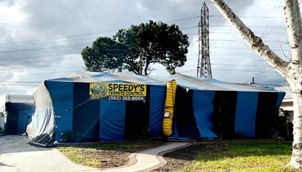Speedy's Termite Control
