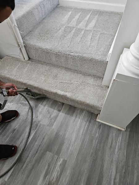 Capital Carpet Cleaning
