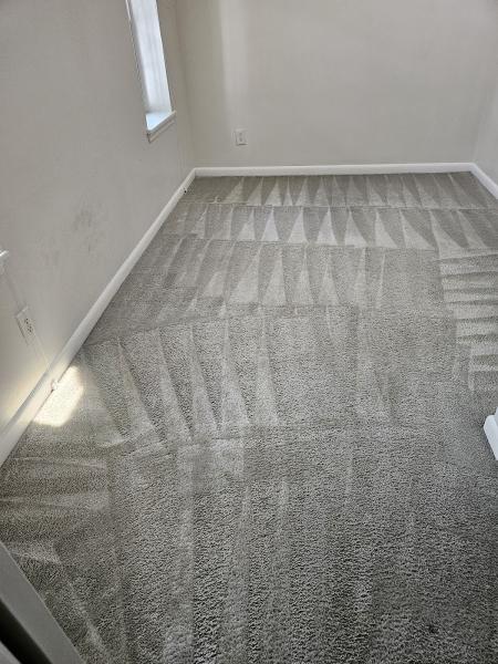 Capital Carpet Cleaning