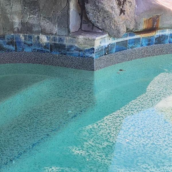 Above All Pool Tile Cleaning