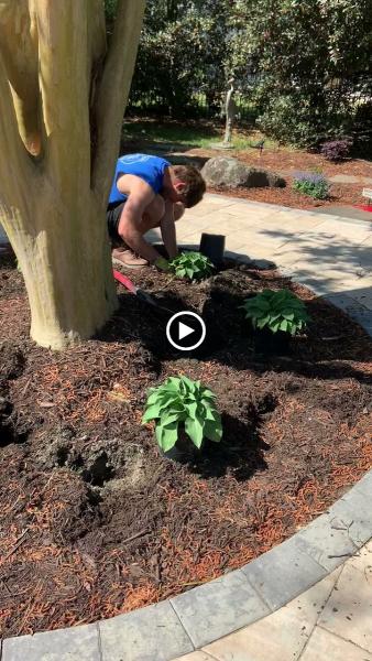 Dr. Dan's Landscaping & Architectural Design