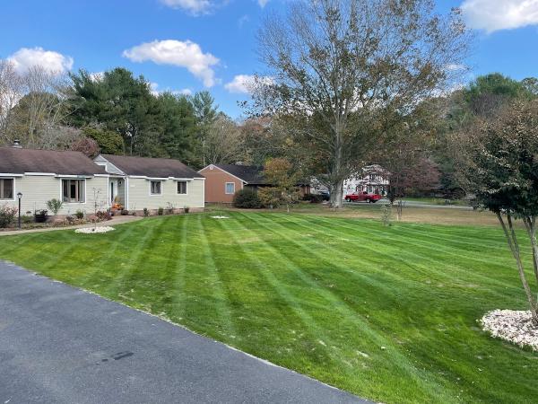 Clean Cut Landscaping