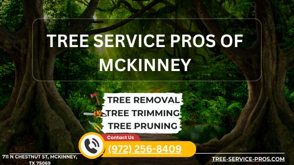 Tree Service Pros