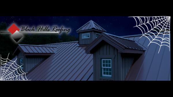 Black Hills Roofing