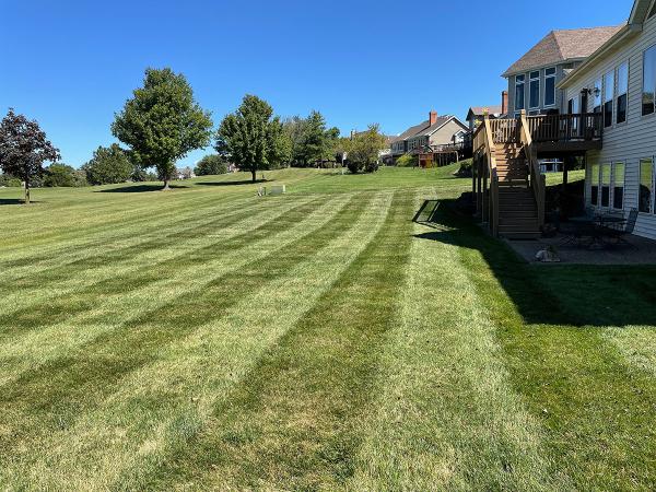 Outdoor Varieties Lawn Care & Landscaping Services
