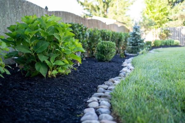 Modern View Landscaping