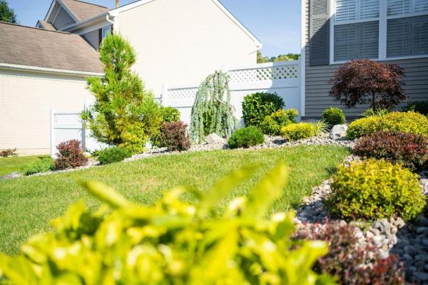 Modern View Landscaping