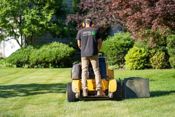 Modern View Landscaping