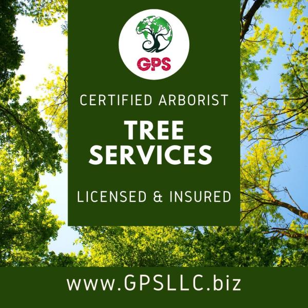 Green Property Services