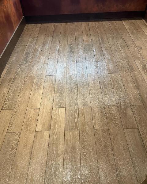 Stallion Carpet Cleaning