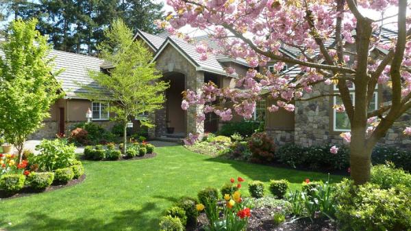Lopez Lawn & Landscapes