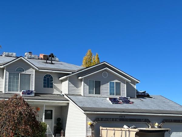 Aesthetic Roofing