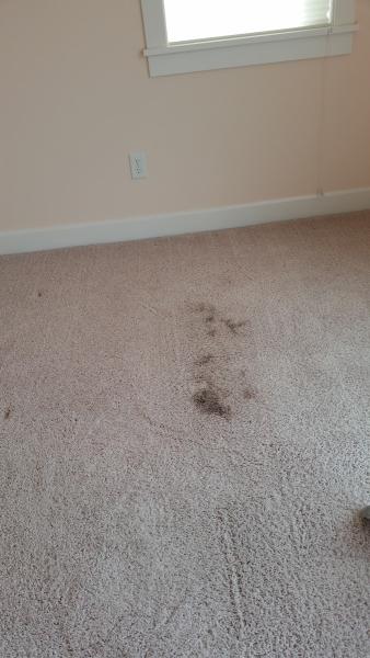 Riverside Carpet Cleaning