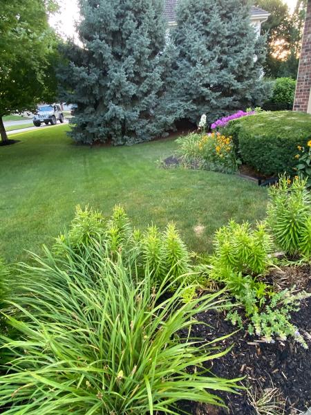 Artisan Lawns Omaha