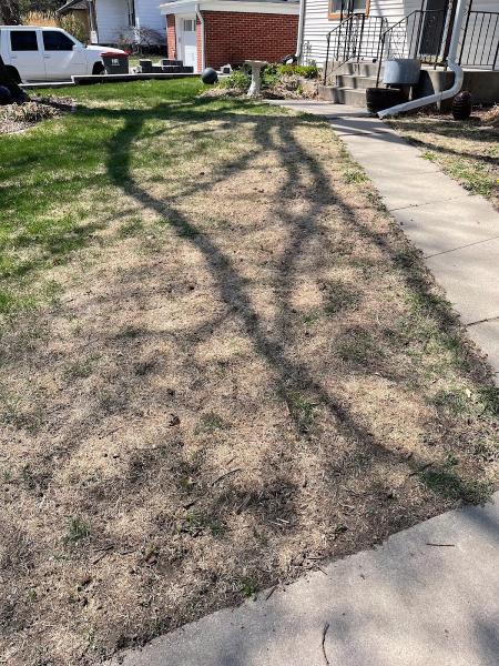 Summit Lawns