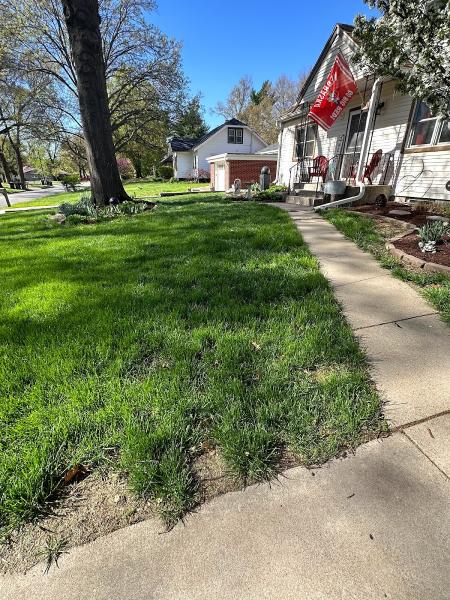 Summit Lawns
