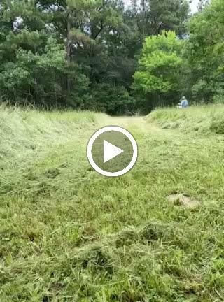 PLM Lawn Maintenance