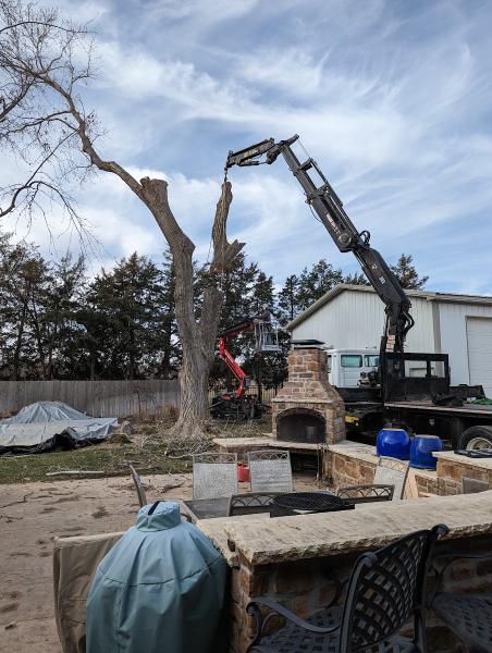 Abe's Tree Service