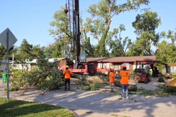 Abe's Tree Service