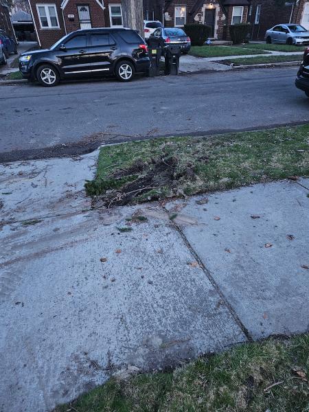 Al's Tree Service
