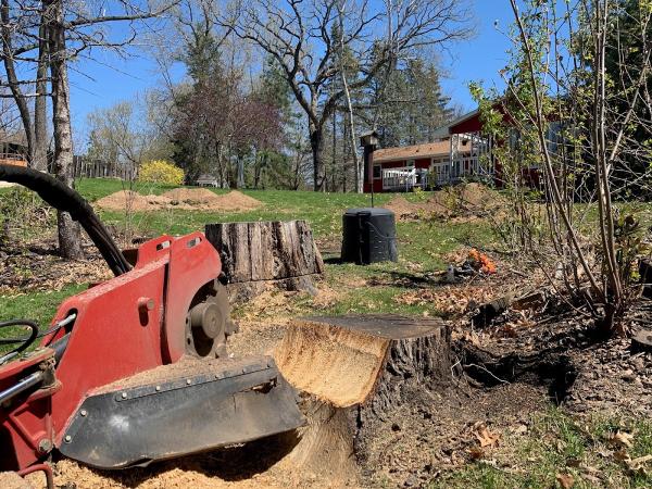 Byebye Stumps