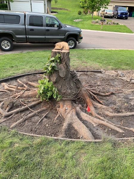Byebye Stumps