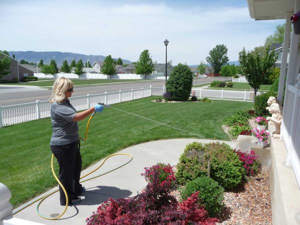 Accurate Pest Control