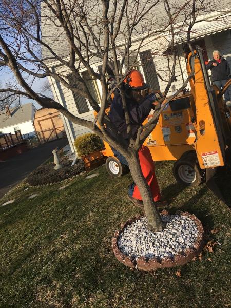 Diaz Landscape Design & Tree Service
