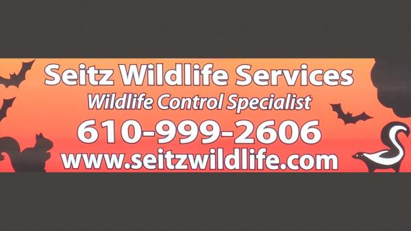Seitz Wildlife & Chimney Services