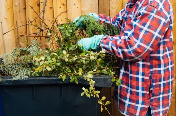 Red Rose Landscaping Llc