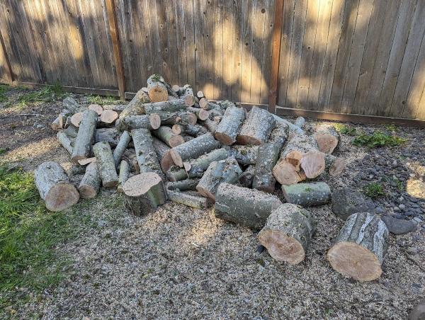 Hosanna Tree & Landscaping