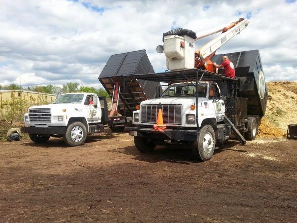 Milford Tree Service