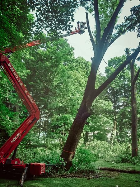 J & B Professional Tree Service