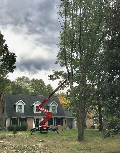 J & B Professional Tree Service