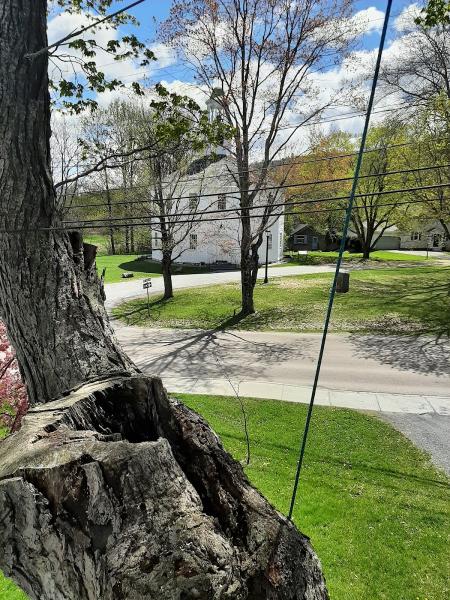 Full Branch Tree Care
