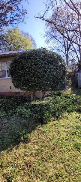Paradise Springs Lawn Care