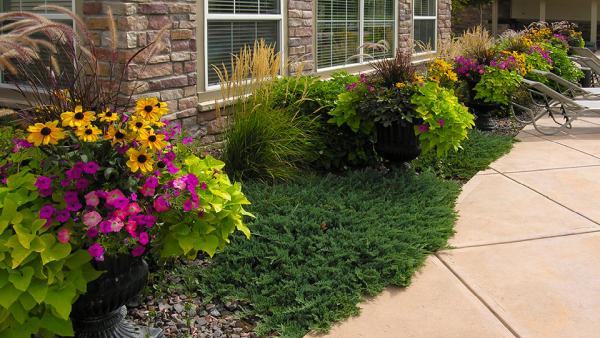 Environmental Designs