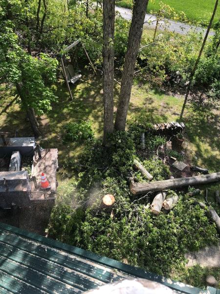 Gibbs Tree Service