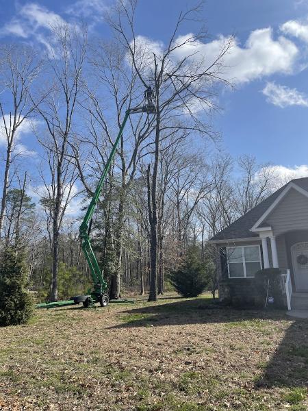 Gibbs Tree Service