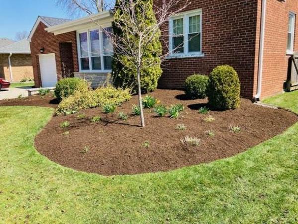Mdiaz Tree Services