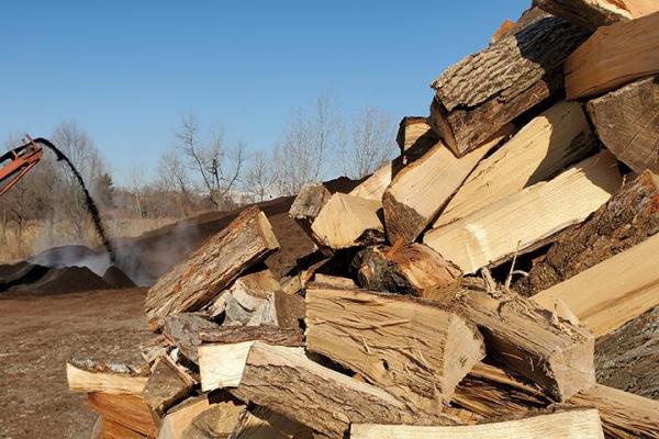 Mdiaz Tree Services