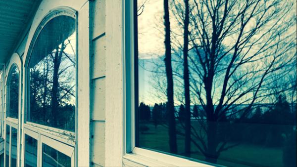 Squeaky Clean Window Cleaning Services
