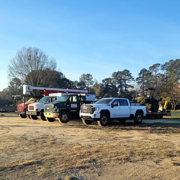 LW Barnio Tree and Stump Removal