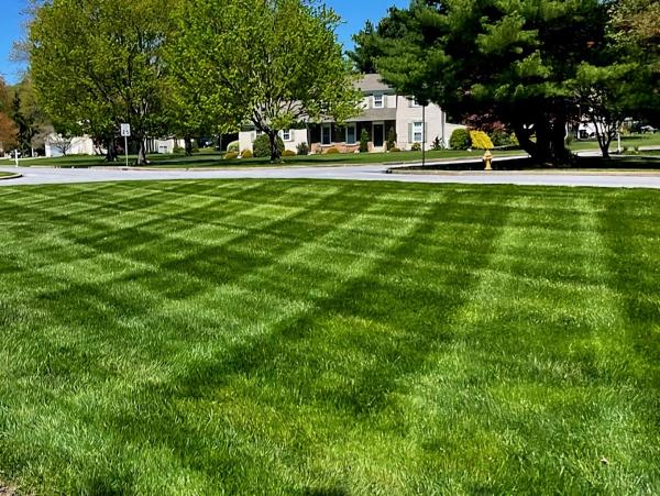 Weedx Fertilizing