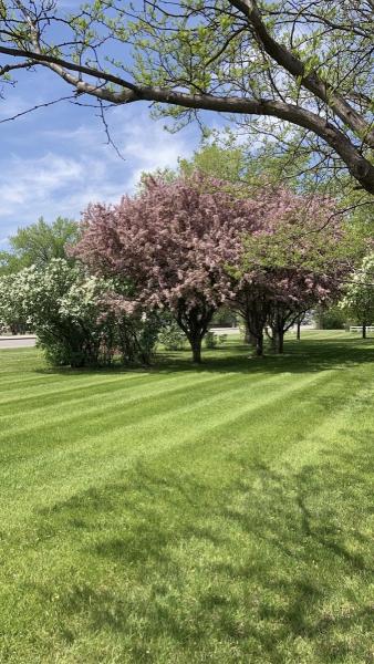 Cutting Edge Lawn Services LLC