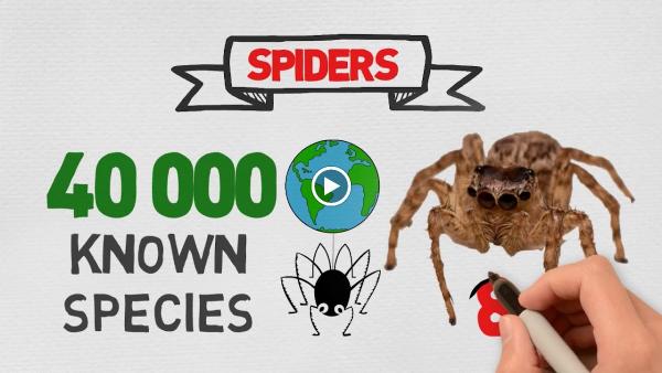 B & B Pest Control